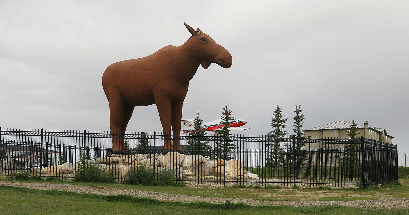 Mac-the-moose-moosejaw